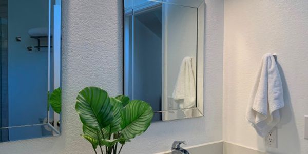 Image of Bathroom with plant
